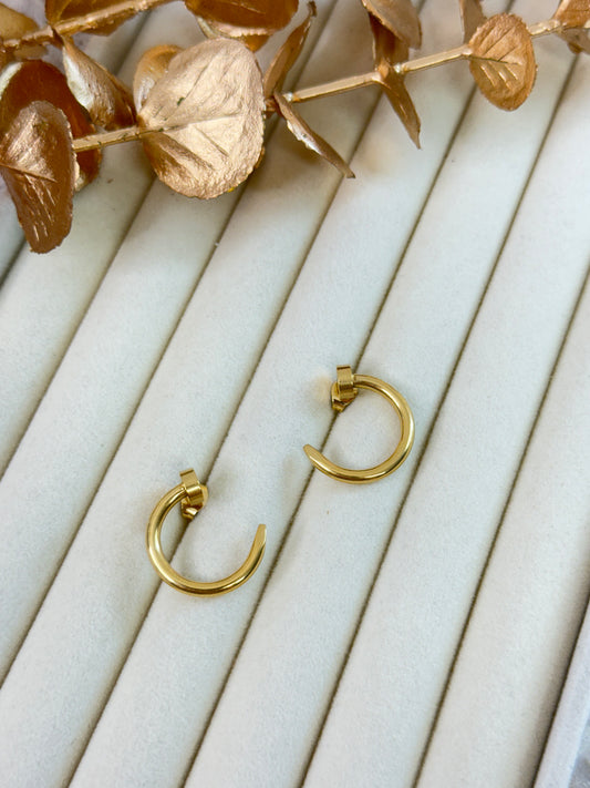 Earrings 1018