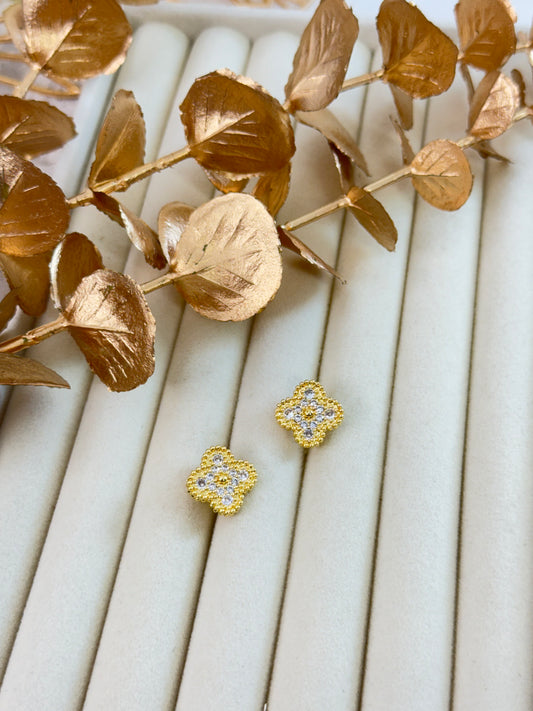 Earrings 1020