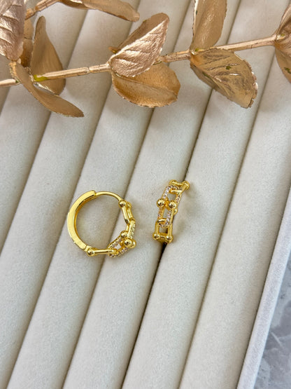 Earrings 1027