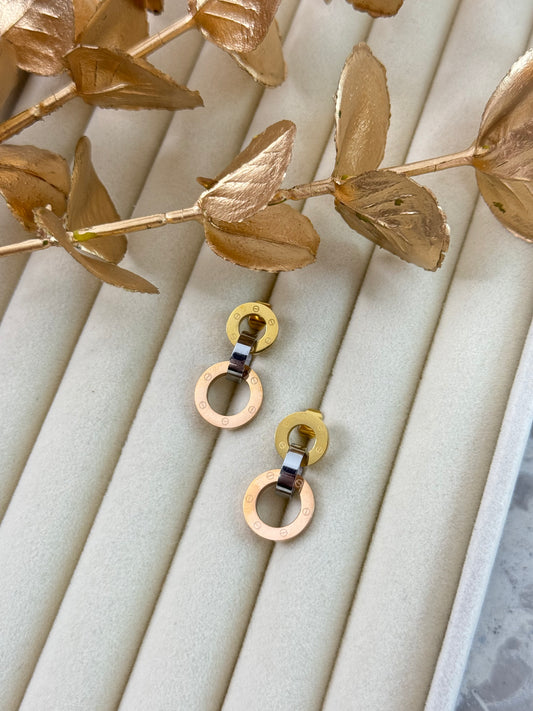 Earrings 1029