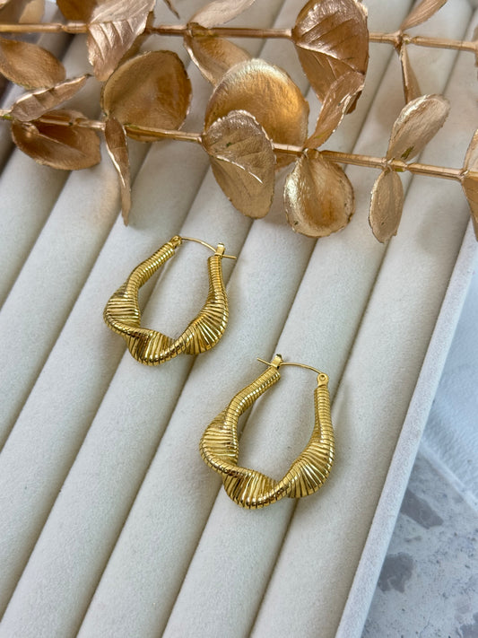 Earrings 1053