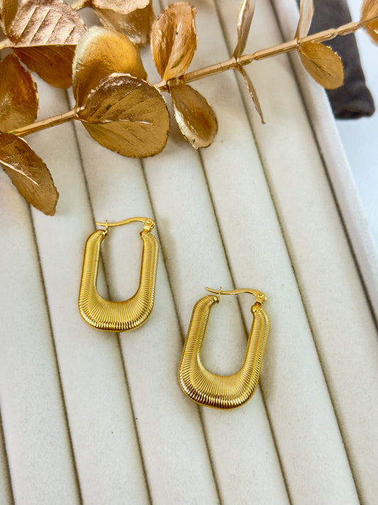 Earrings 1056