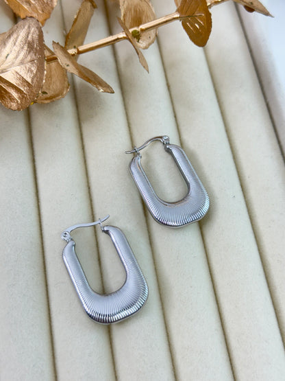 Earrings 1056