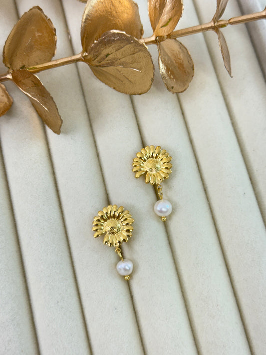 Earrings 1067