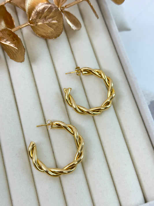 Earrings 1071