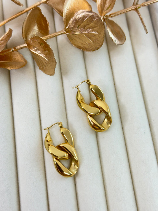 Earrings 1072