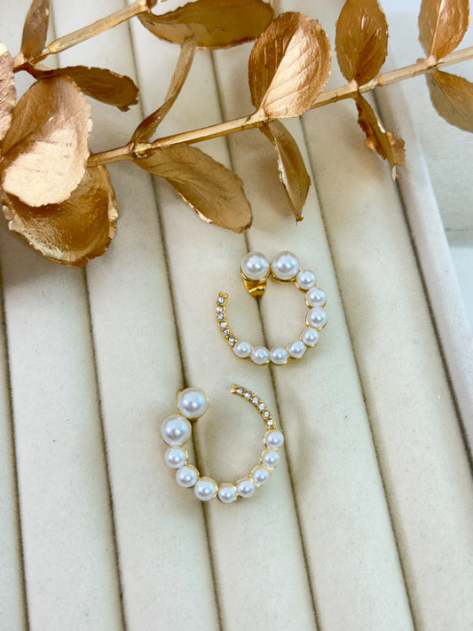 Earrings 1076