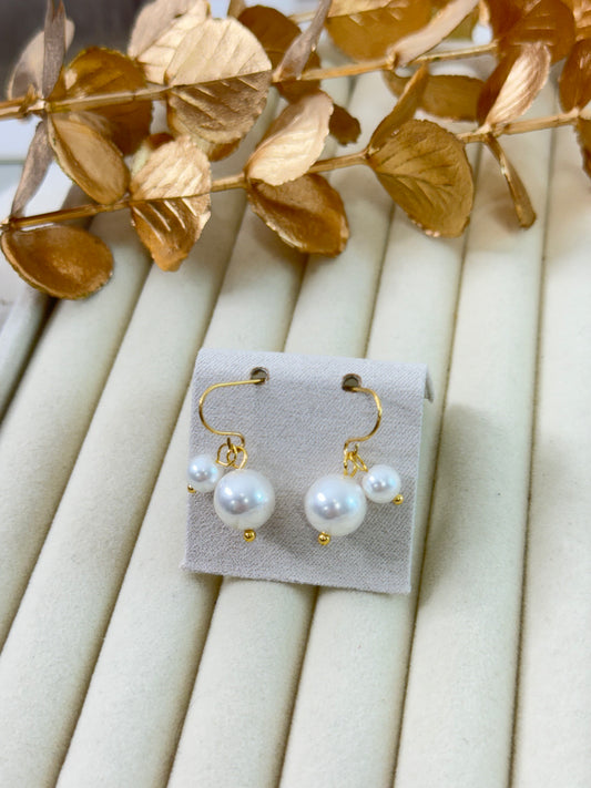 Earrings 1078