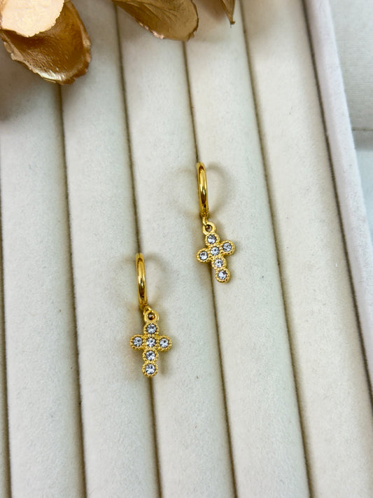 Earrings 1080