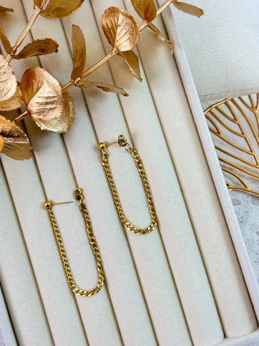 Earrings 1145