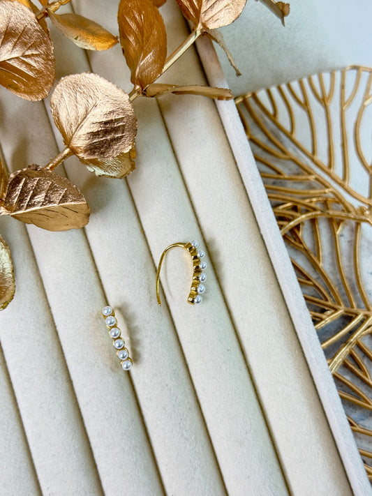 Earrings 1160