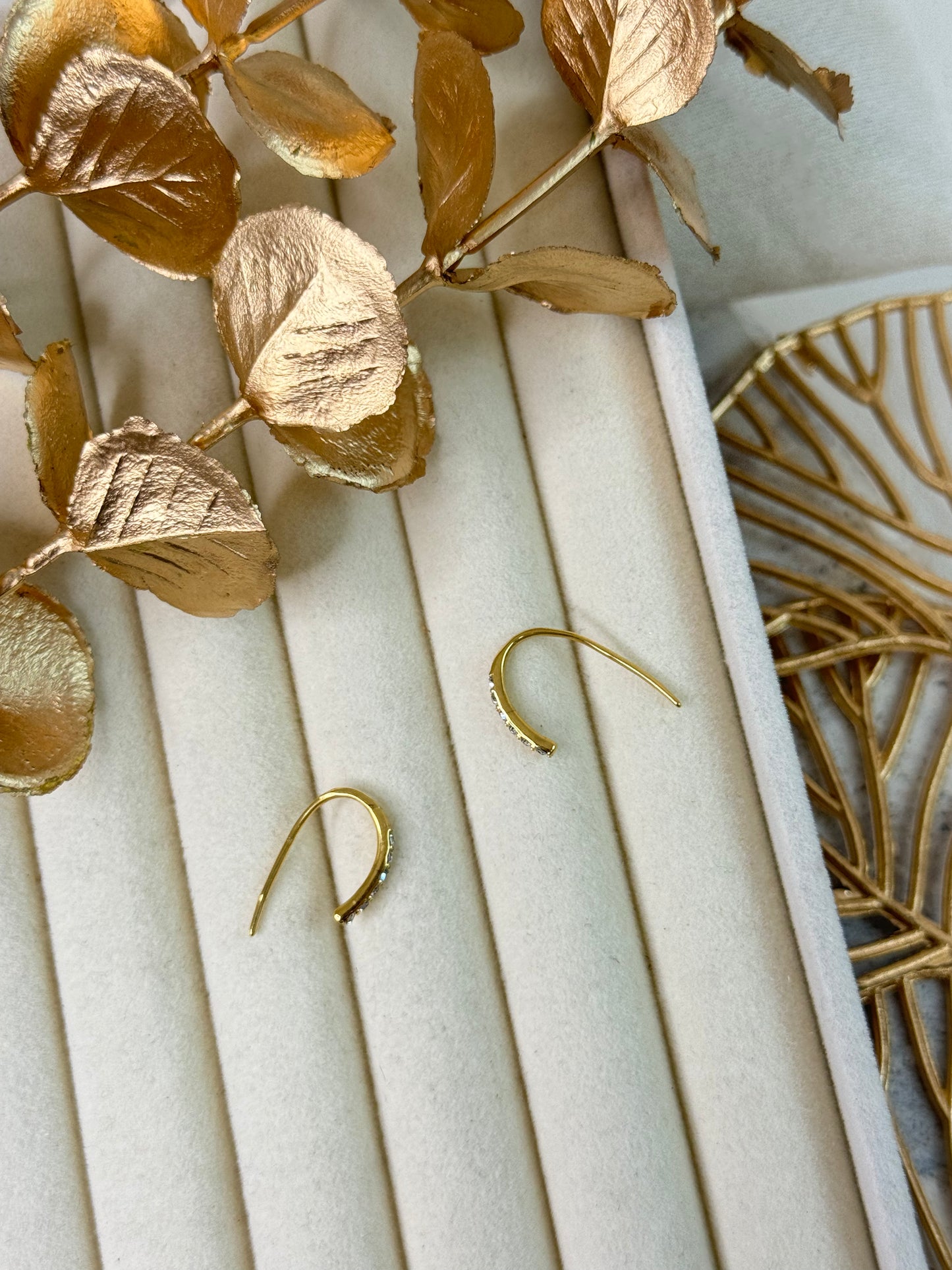 Earrings 1163