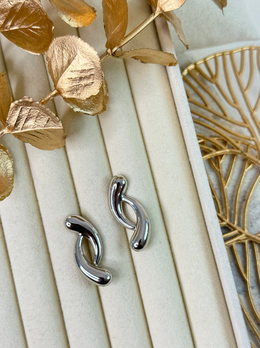 Earrings 1165