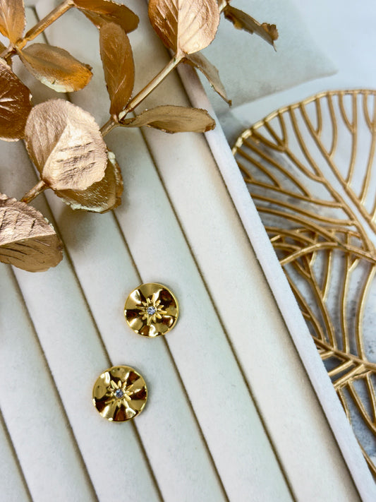 Earrings 1154