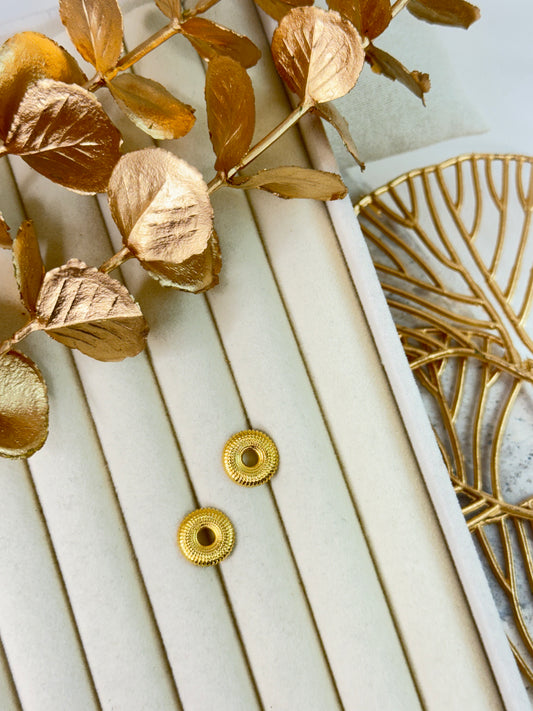 Earrings 1170