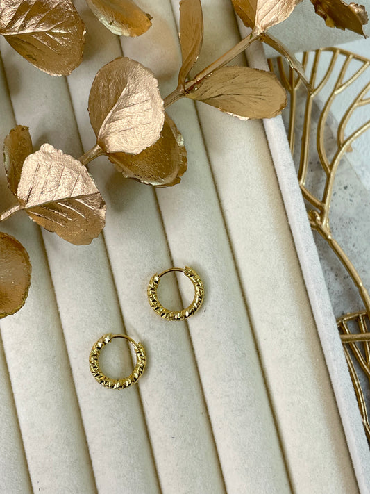 Earrings 1178
