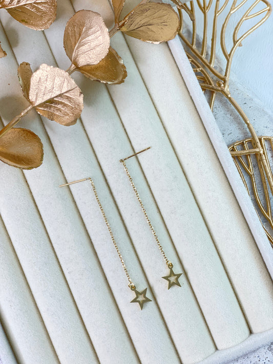 Earrings 1180