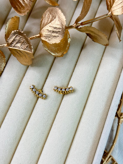 Levi Stud Earrings 1185