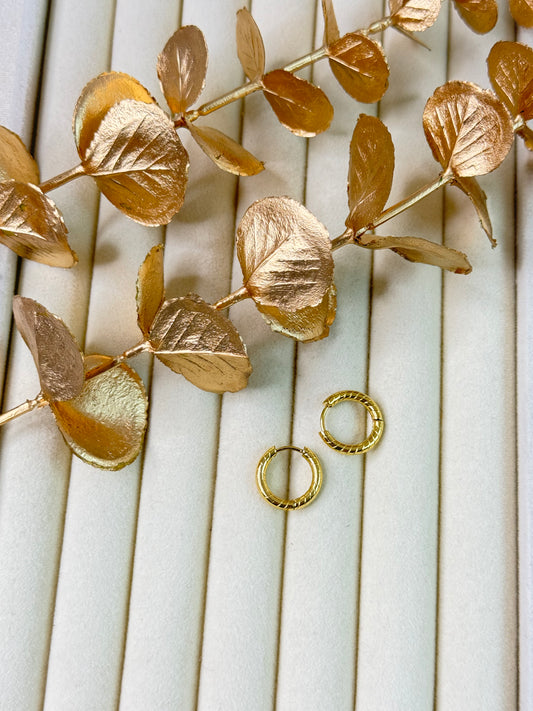 Earrings 1187