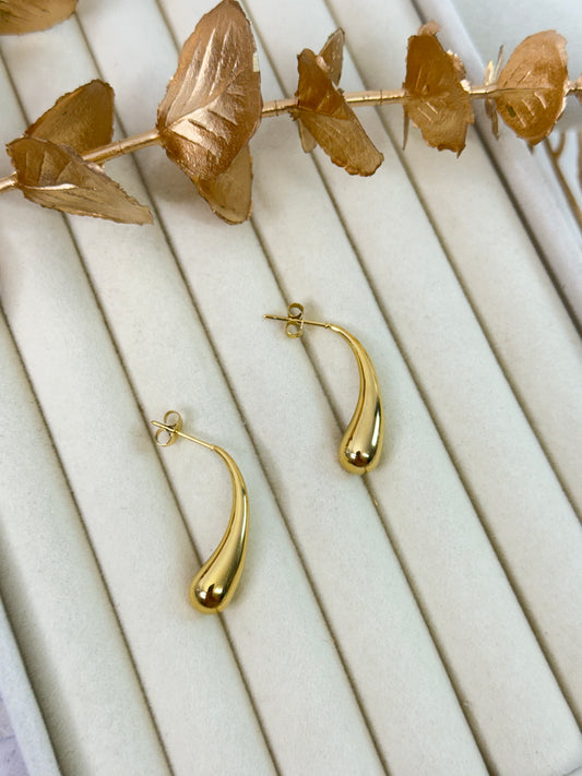 Earrings 1206