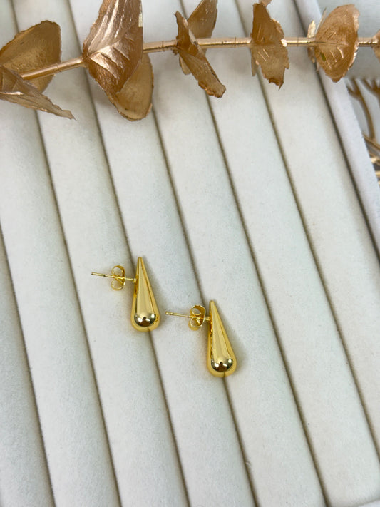 Earrings 1207