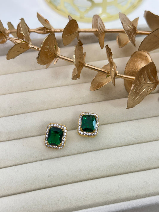 Earrings 1215