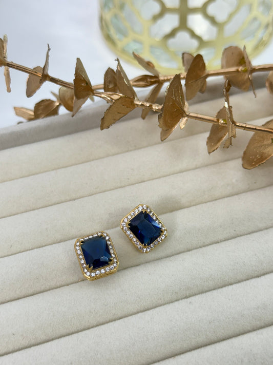 Earrings 1213